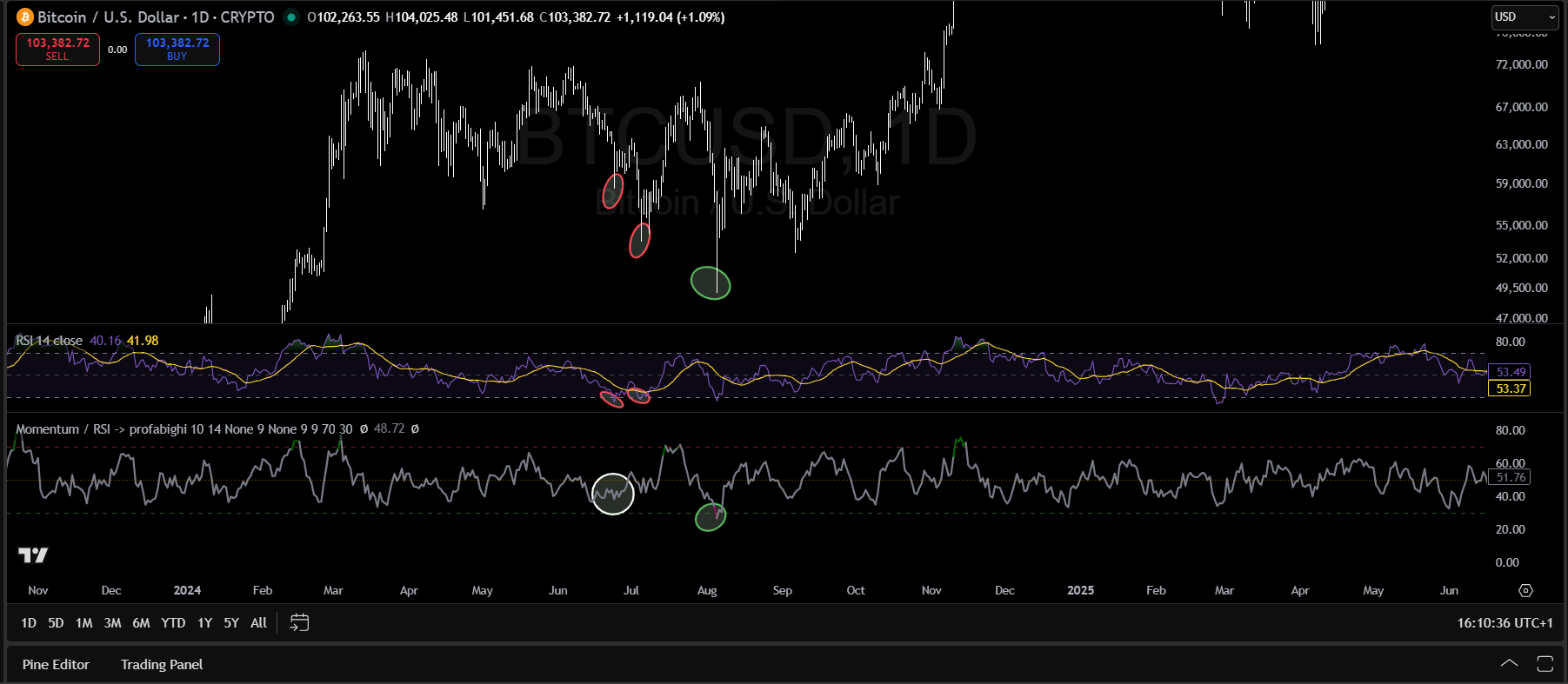 Momentum RSI Indicator